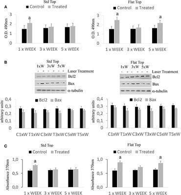 A Comparative Study Between the Effectiveness of 980 nm Photobiomodulation Delivered by Hand-Piece With Gaussian vs. Flat-Top Profiles on Osteoblasts Maturation